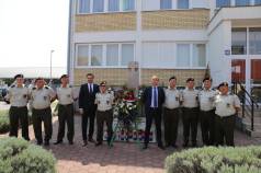 Mini IMG 4884